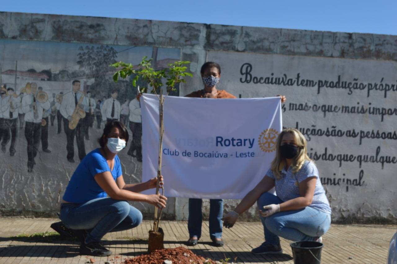 Companheiras do Rotary Club de Bocaiúva-Leste com a bandeira do clube junto à uma muda que acabara de ser plantada