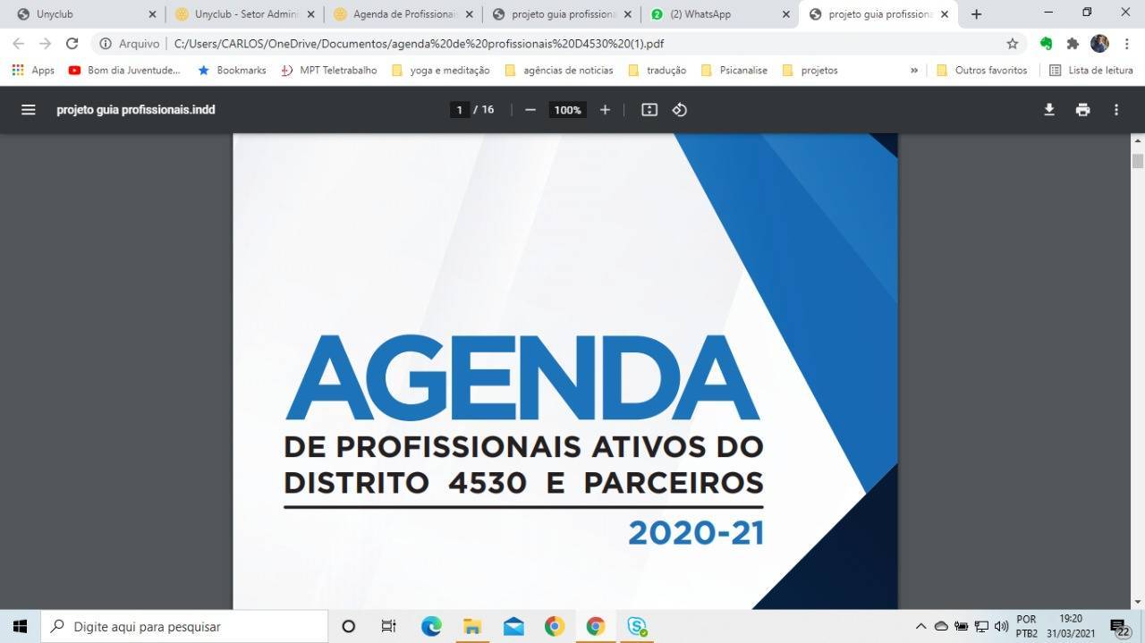 Agenda de Profissionais ativos 