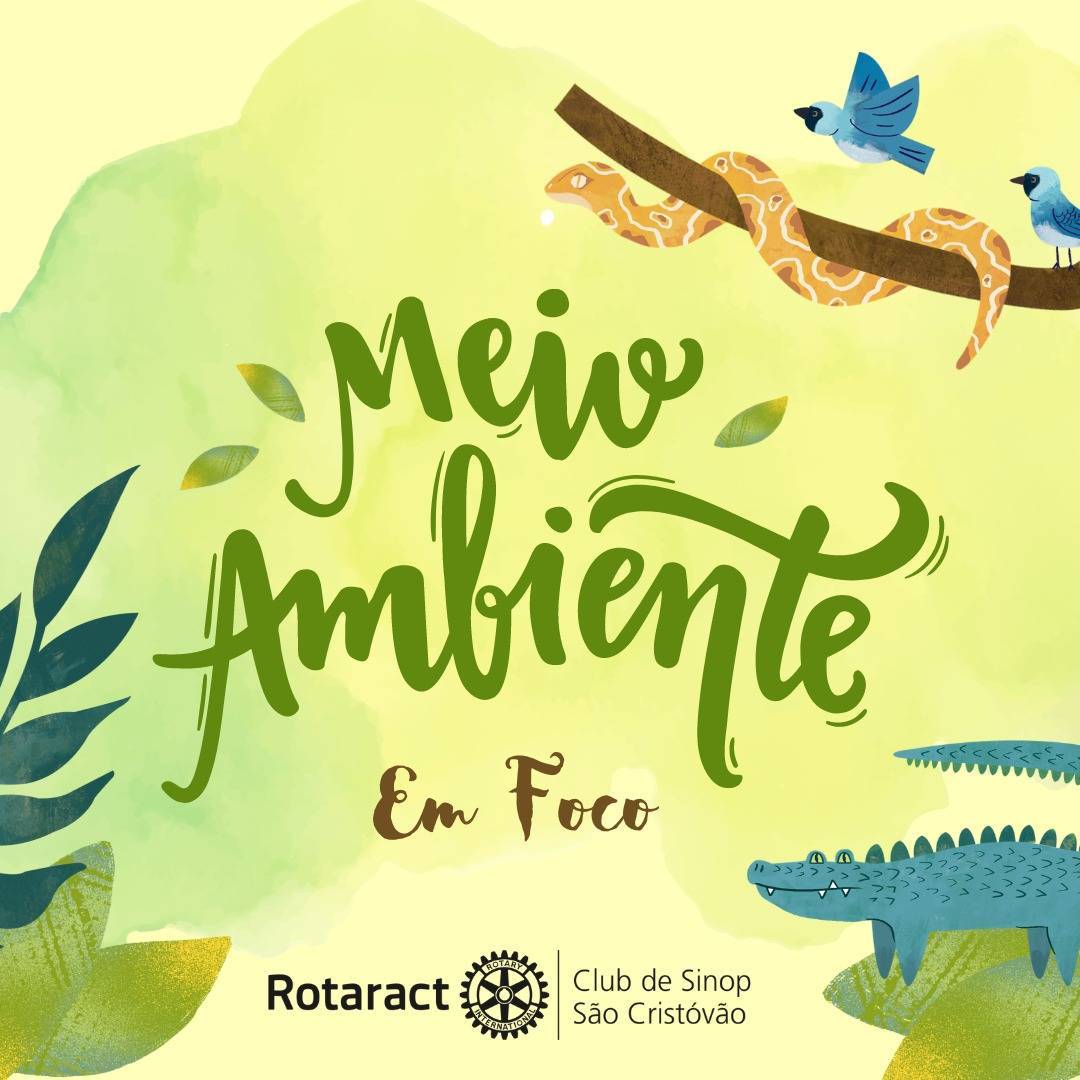 MEIO AMBIENTE EM FOCO