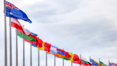 Sorahya Sacramento , Presidente da Comissão de Meio Ambiente do Rotary Club de Engenheiro Paulo de Frontin