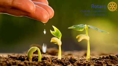 DQA Desenvolvimento do quadro associativo. Por Érica Roriz