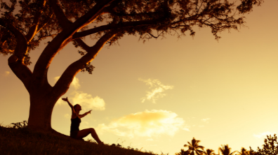 Por Sorahya Sacramento associada ao Rotary Club de Engenheiro Paulo de Frontin, Presidente das Comissões de: Projetos Humanitários e Meio Ambiente.