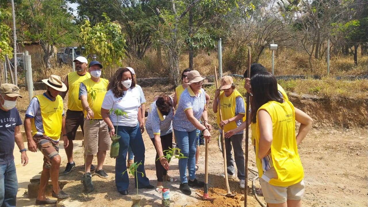 Plantio de Árvore: Uma árvore por rotariano III