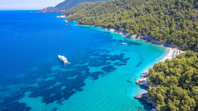 Sorahya Sacramento , Presidente da Comissão de Meio Ambiente do Rotary Club de Engenheiro Paulo de Frontin