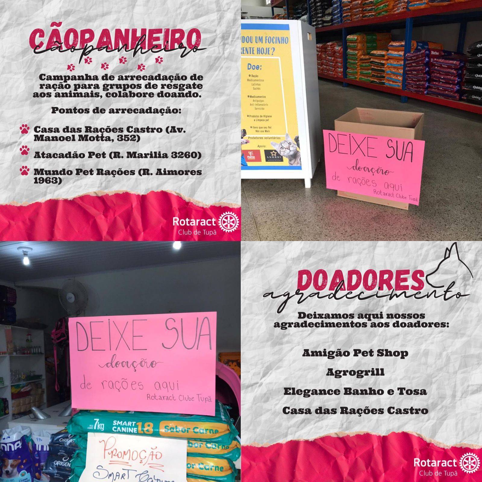 Campanha Cãopanheiro