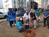 Plantio  na Praça Rotary
