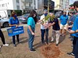 Plantio  na Praça Rotary