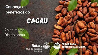Dia do Cacau