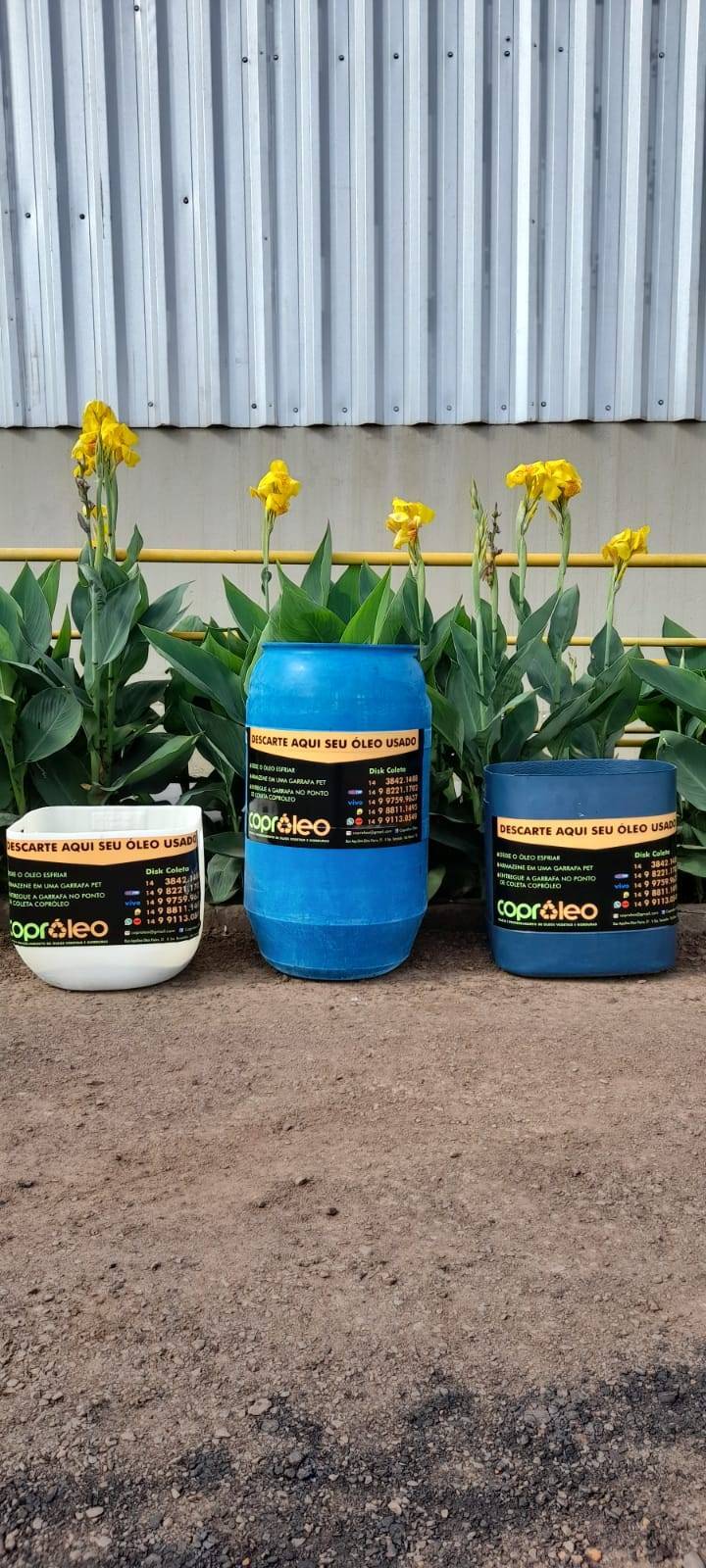 Projeto Amigos da Sustentabilidade  - óleo limpo