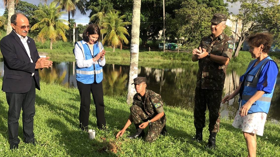 Plantação de mudas 4° B COM.g