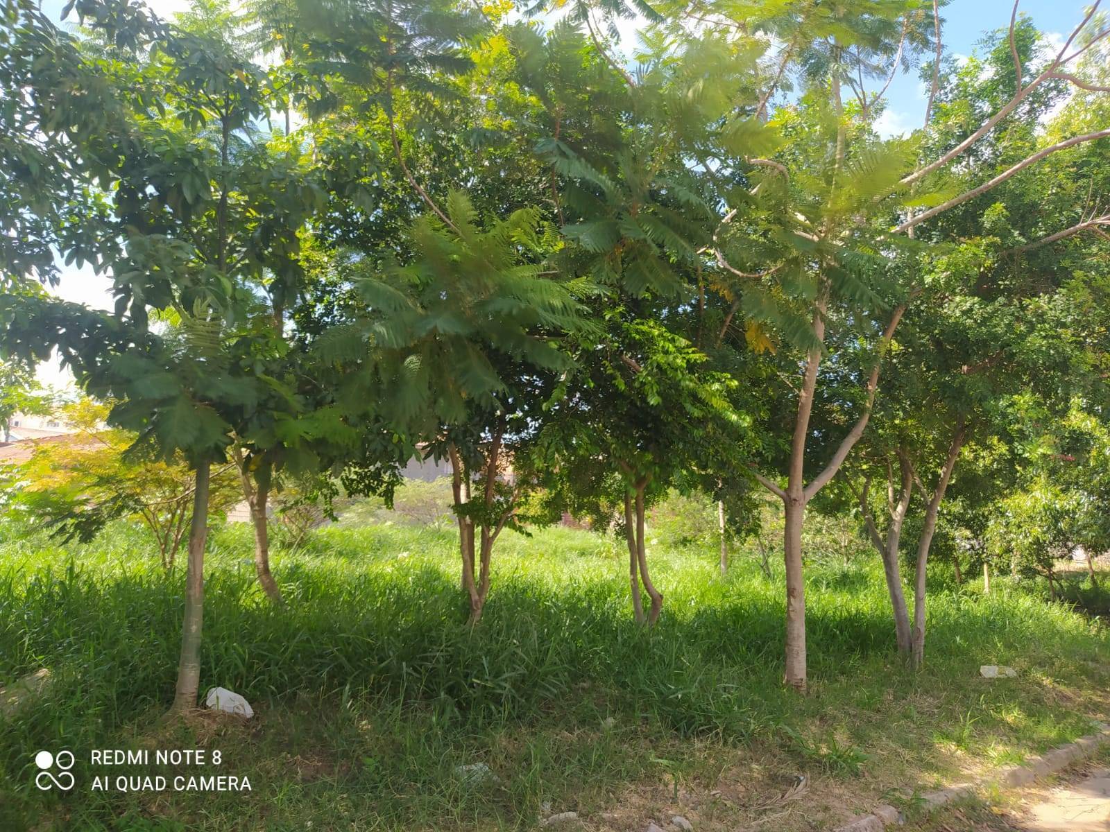 Projeto Preservar é Preciso - Rotary Club Avaré-Jurumirim 