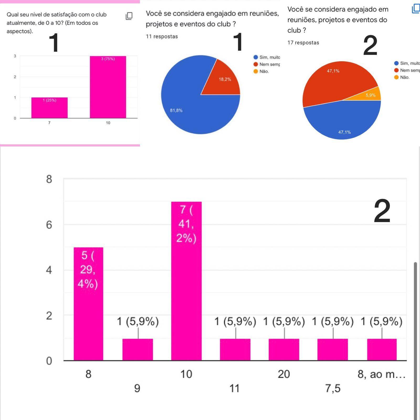 Gráficos com dados da pesquisa