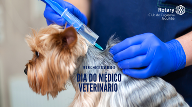 Dia do Médico Veterinário