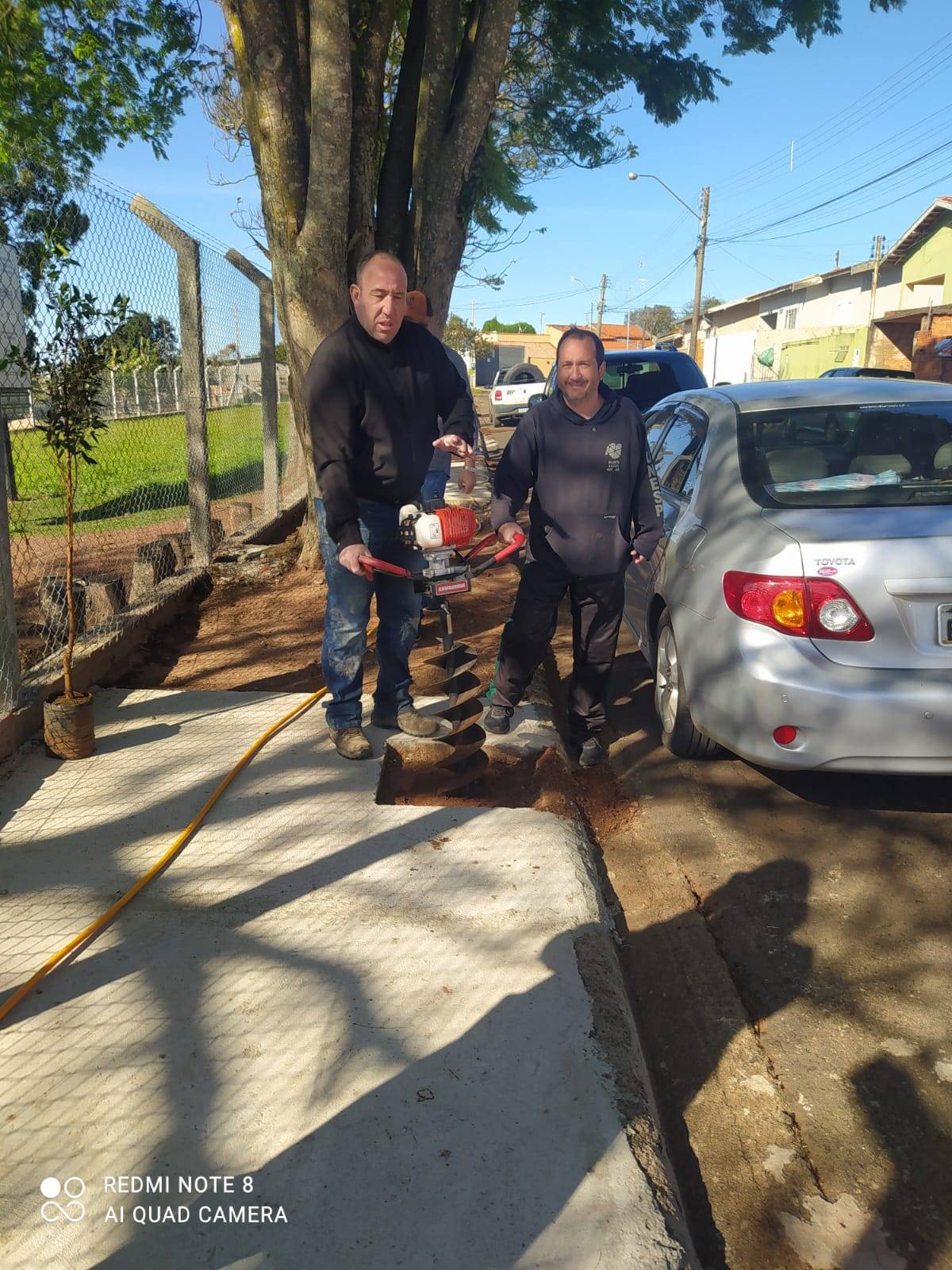 Homenagem ao dia da árvore 