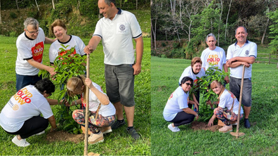 Plantio de 100 mudas de árvores.