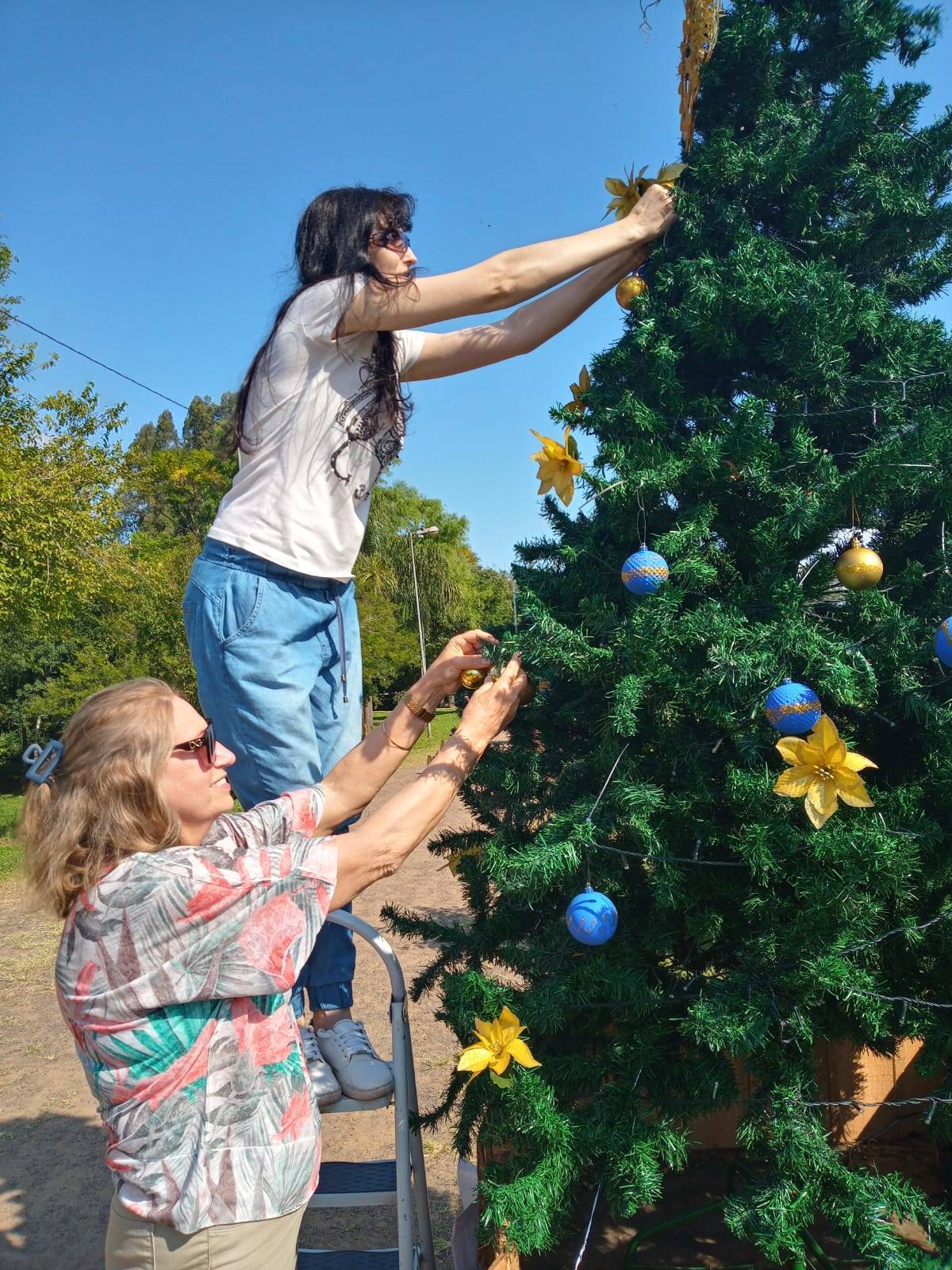 Árvore de Natal enfeitada à beira do lago.