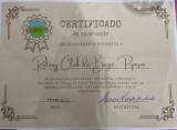 Certificado de Apreciação - Grupo de Artes Nativas Campo Aberto