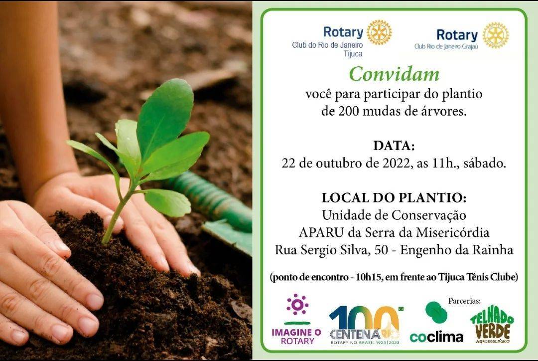 Plantio de 200 mudas de árvores 