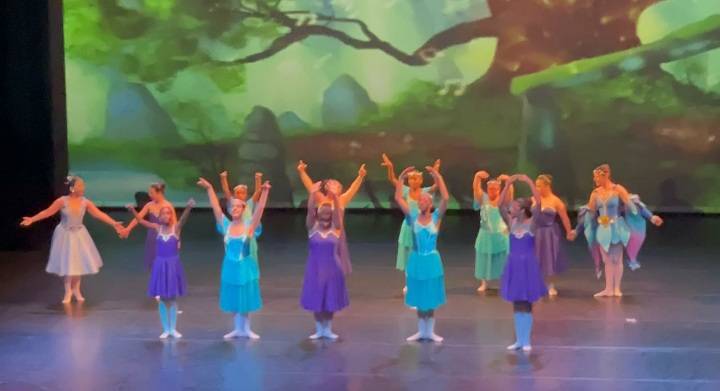 Ação em prol da Associação Fernanda  Bianchini - Companhia Vale dos Cegos.