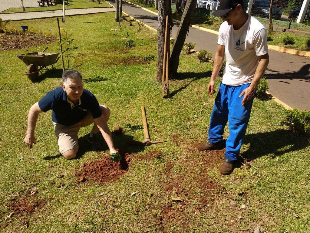 Plantação de árvores "Eco Parque Chapecó"