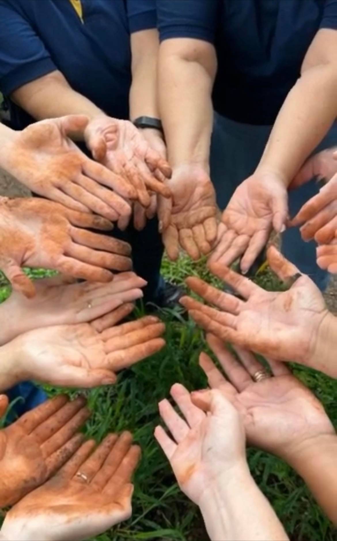 PLANTIO DE 10 ARVORES FRUTÍFERAS