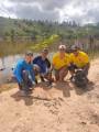 Plantios de espécies arbóreas foi uma novidade este ano.
