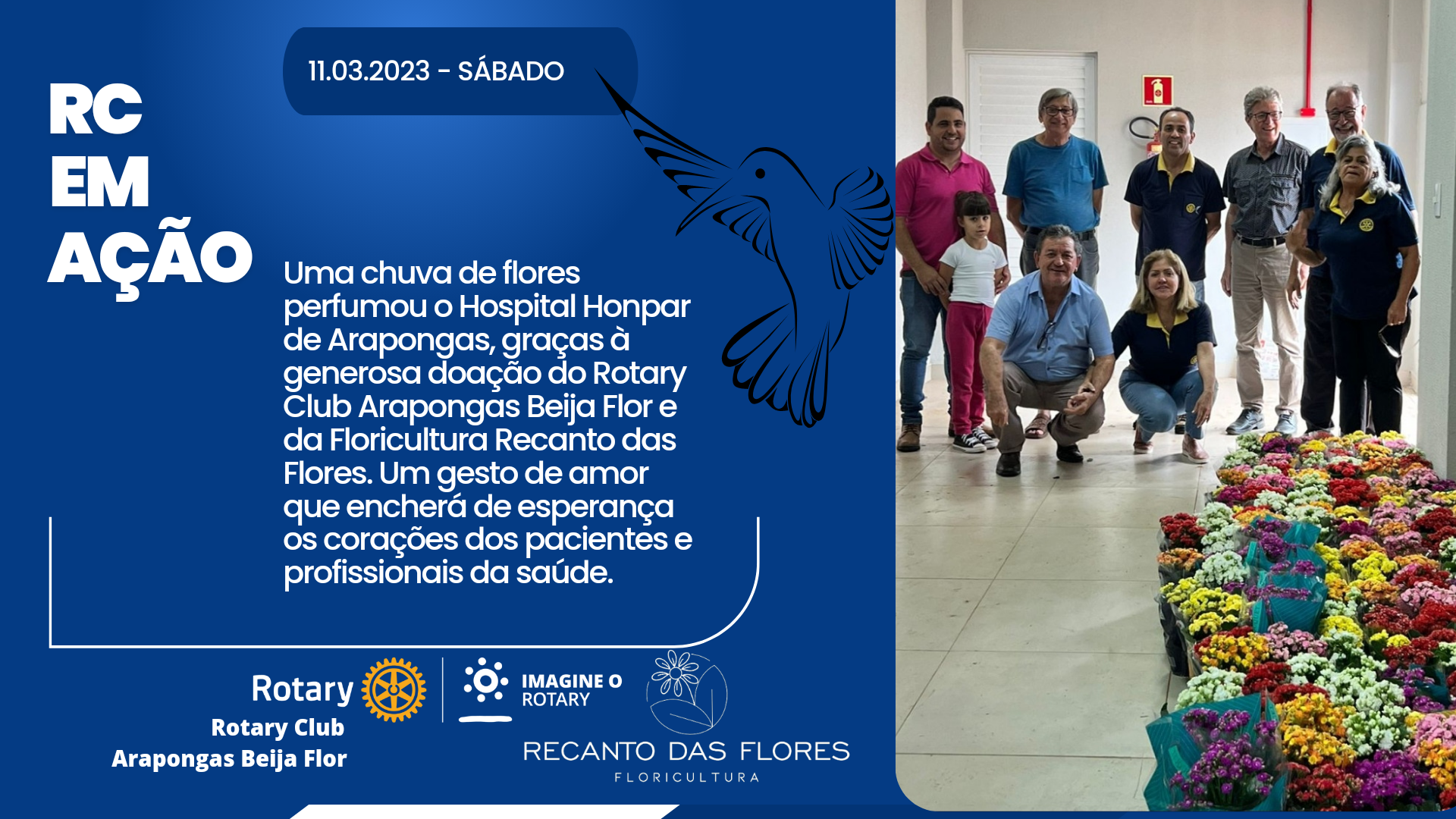 Doação de Mudas de Flores 