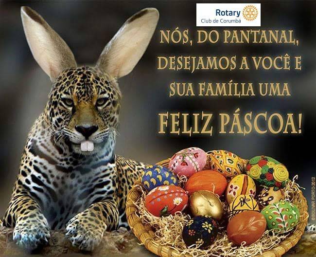 Feliz Páscoa. Um domingo abençoado e de muita reflexão.