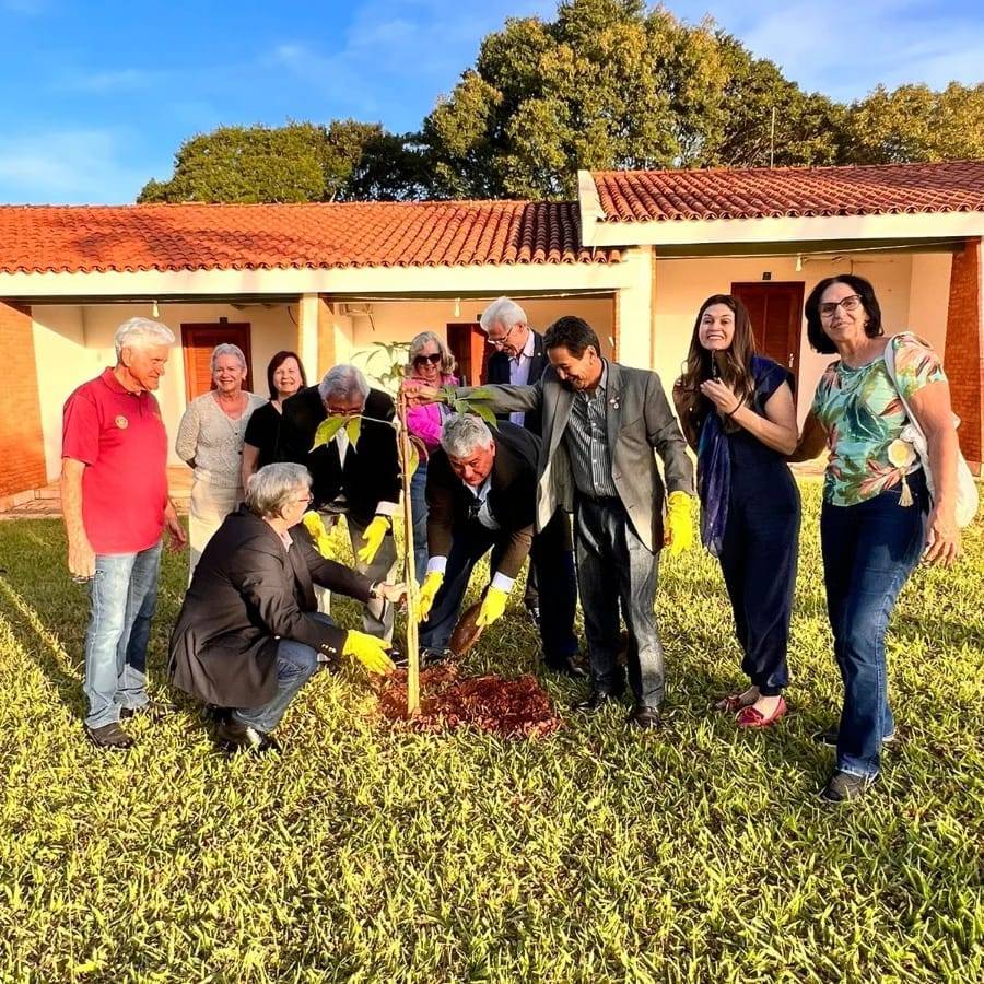 Abertura de conferência iniciada com plantio de mudas em SJRP.