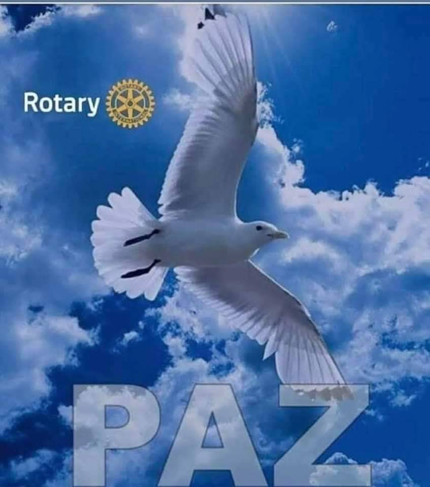 Governador 4480 - Paz e Compreensão.