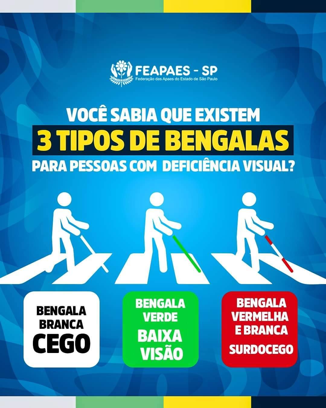 Motivo das Diferentes Cores das Bengalas