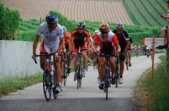 Faça parte de um Grupo de Companheirismo do Rotary