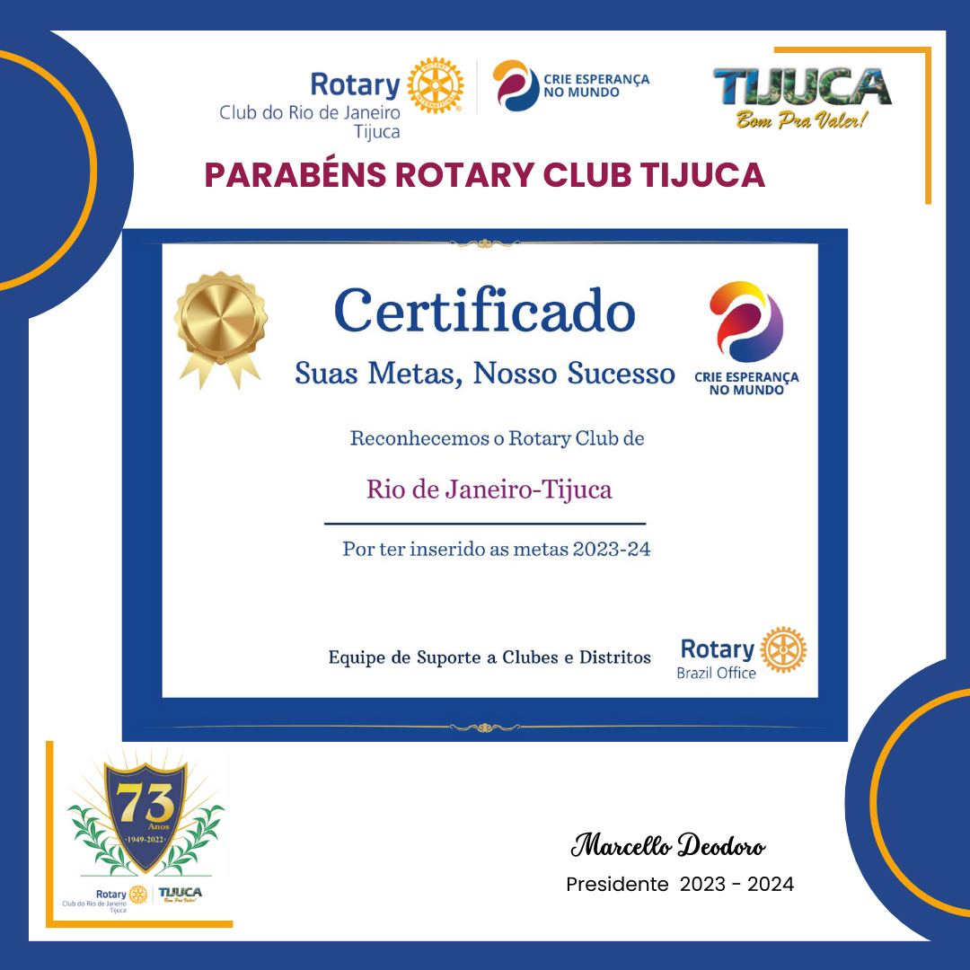 Por Siomara Castro - Presidente da Comissão de Imagem Pública