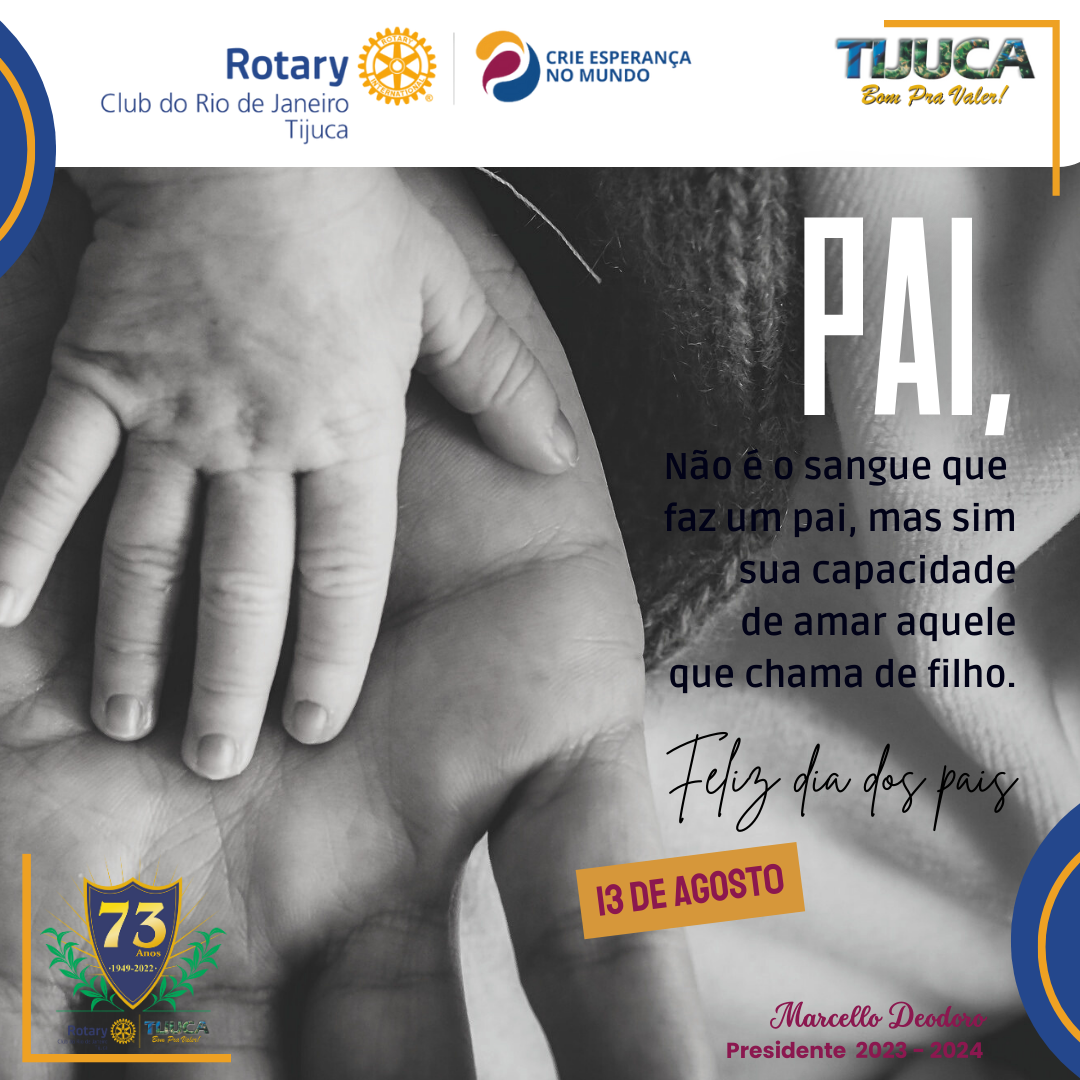 Por Siomara Castro Presidente da Comissão de Imagem Pública