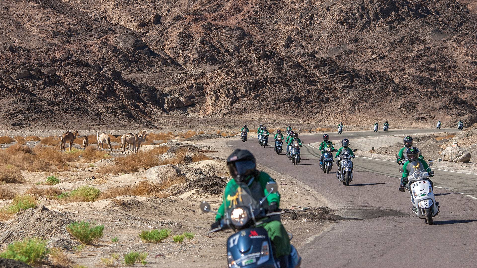 Cross Egypt Challenge 2023