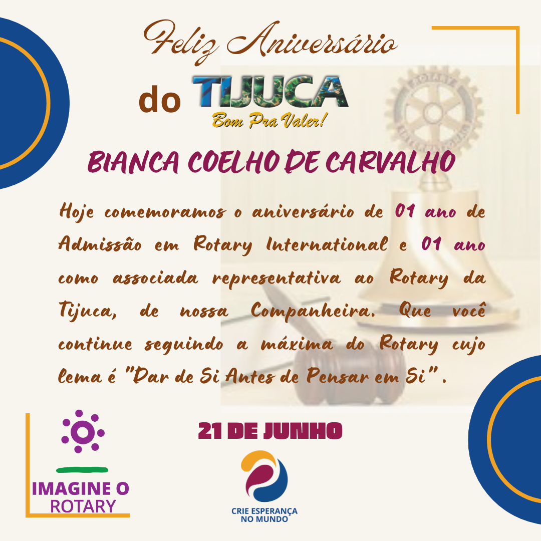 Por Siomara Castro Presidente da Comissão de Imagem Pública