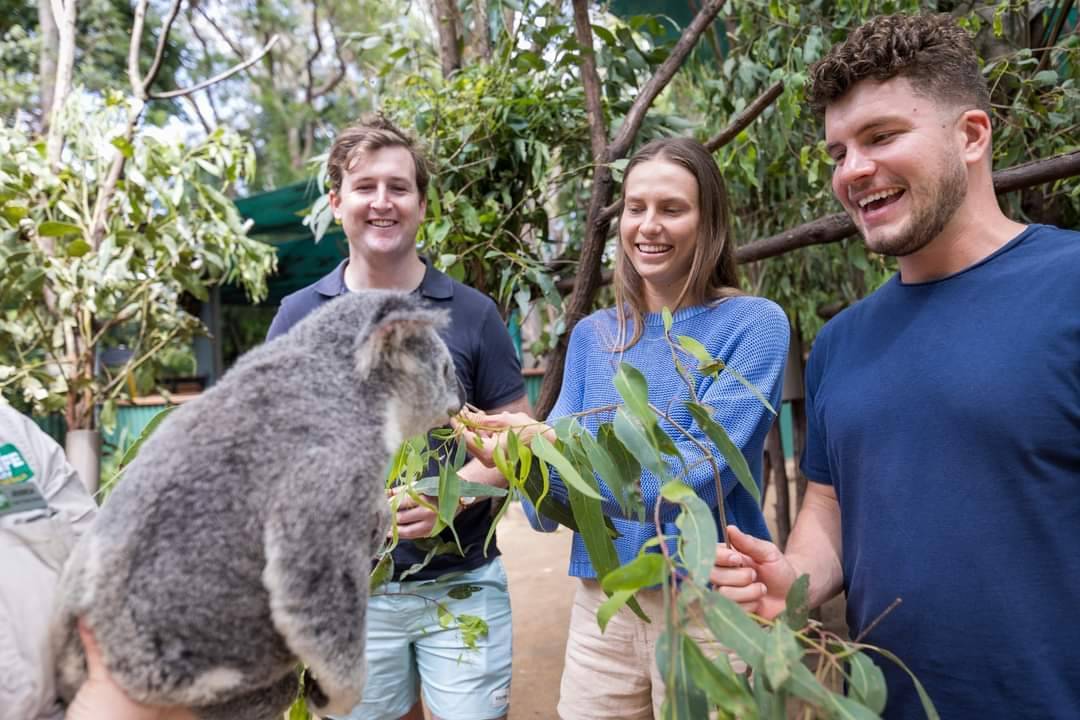 Preservação Ambiental