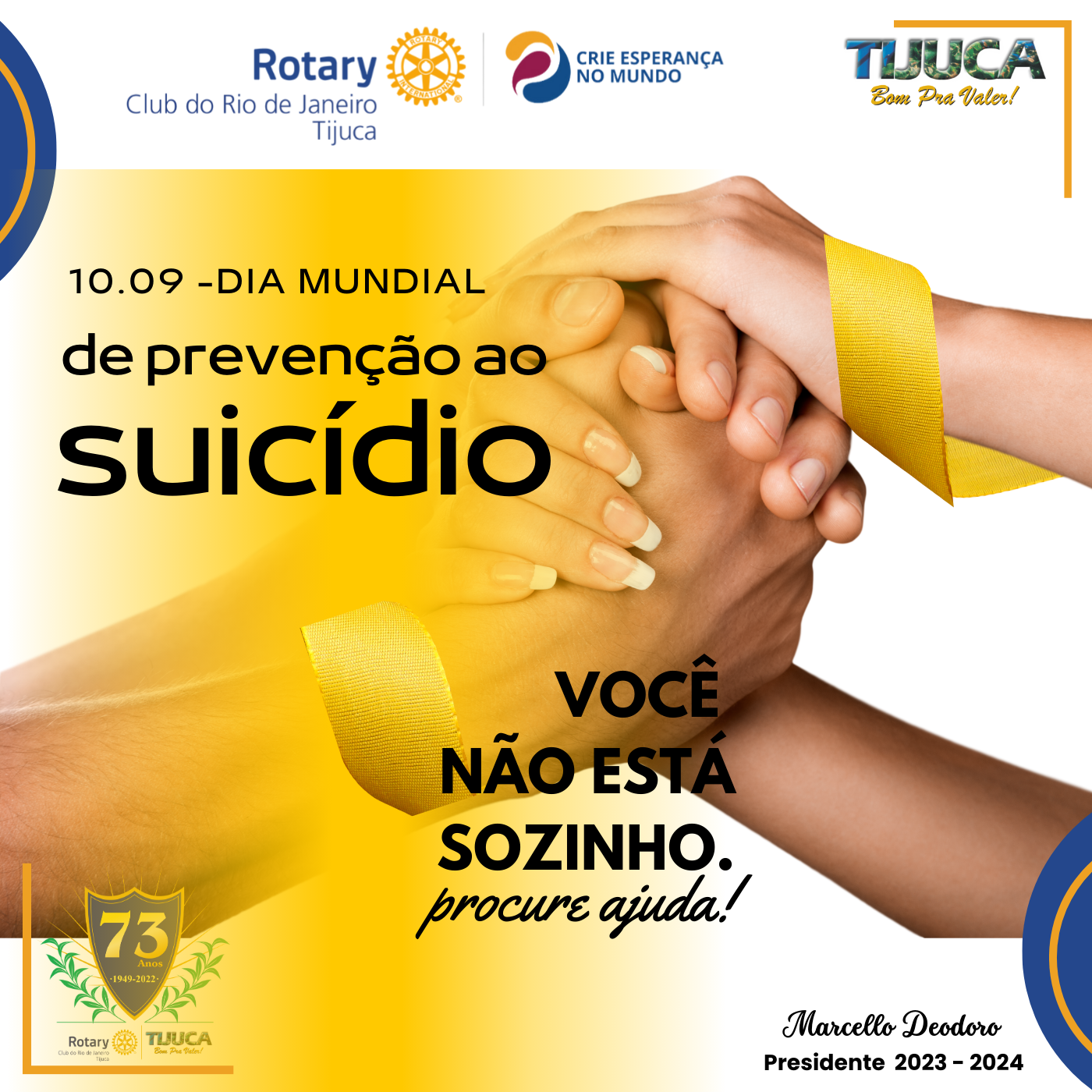 Por Siomara Castro Presidente da Comissão de Imagem Pública