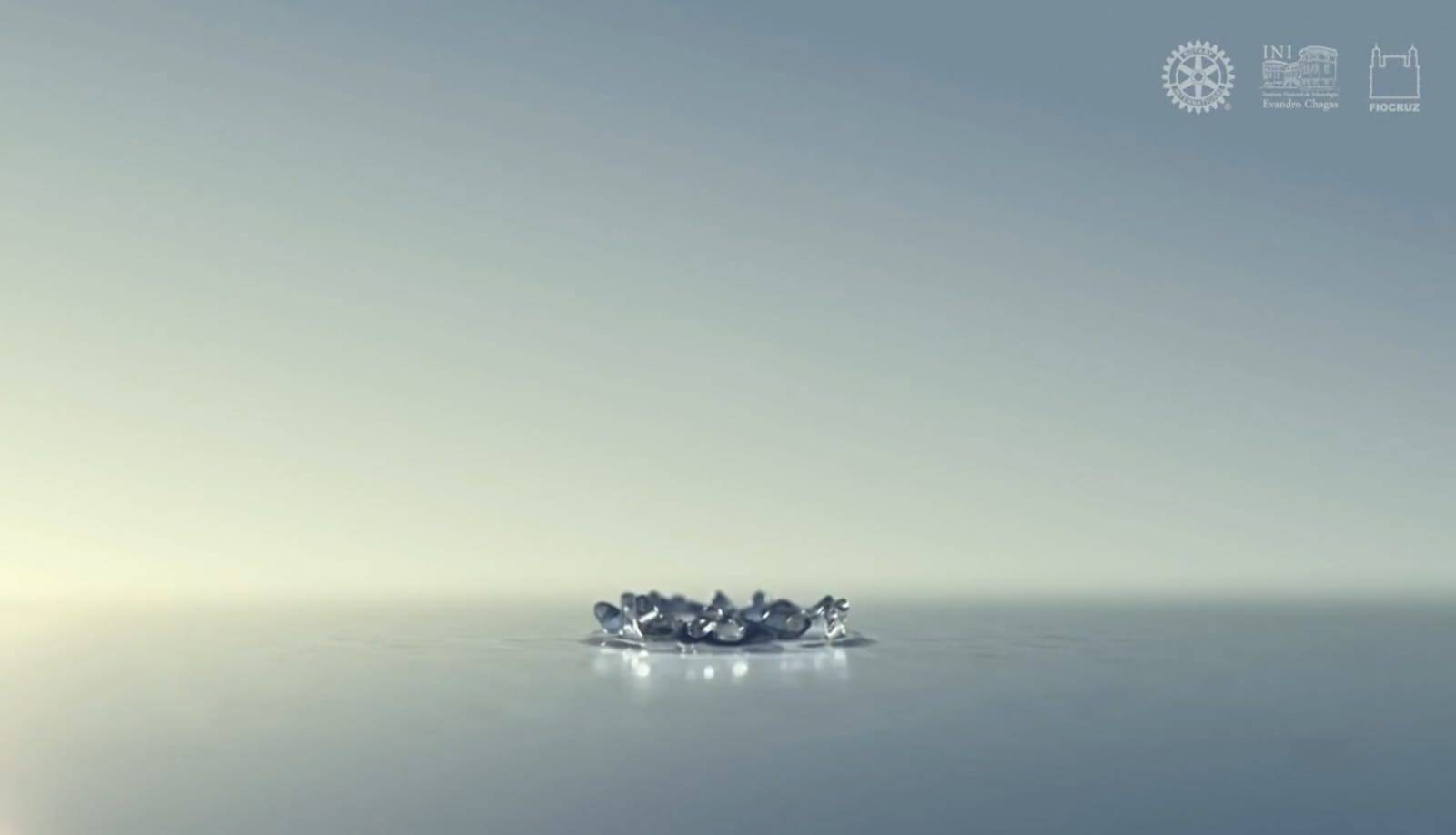 Fiocruz e Rotary juntos pela vacinação