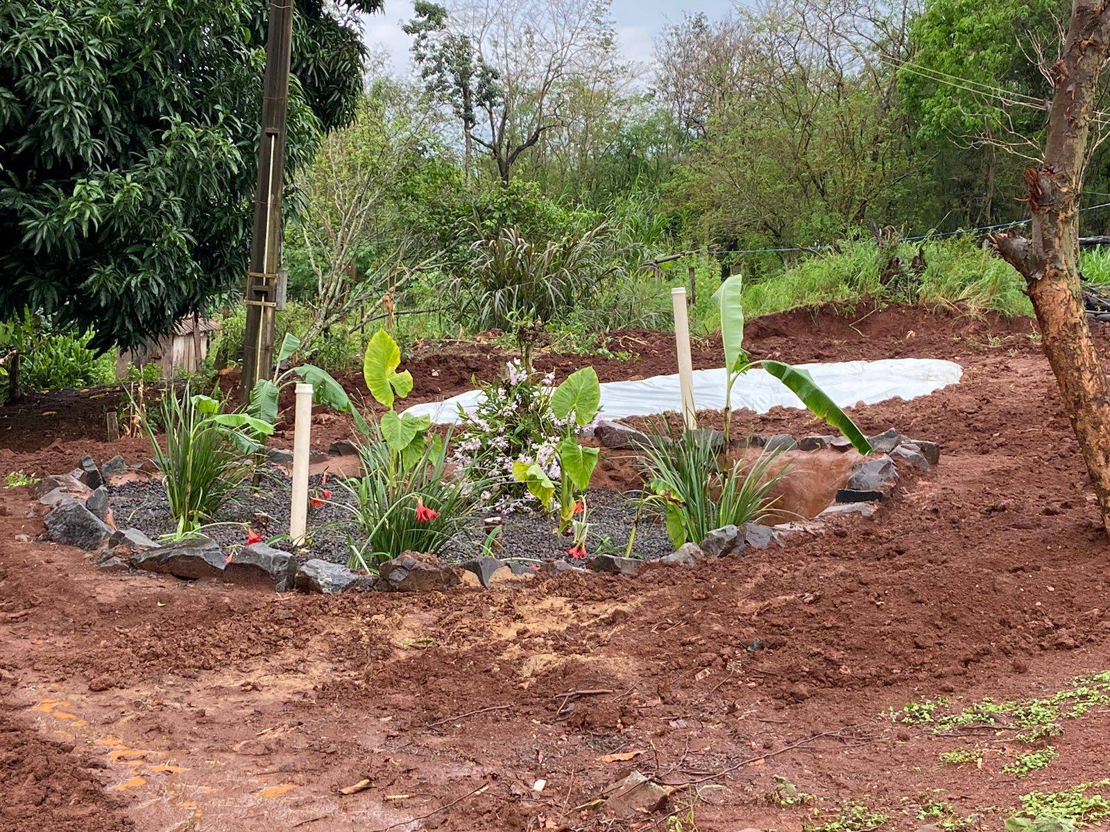 Projeto Ambiental Concluído.