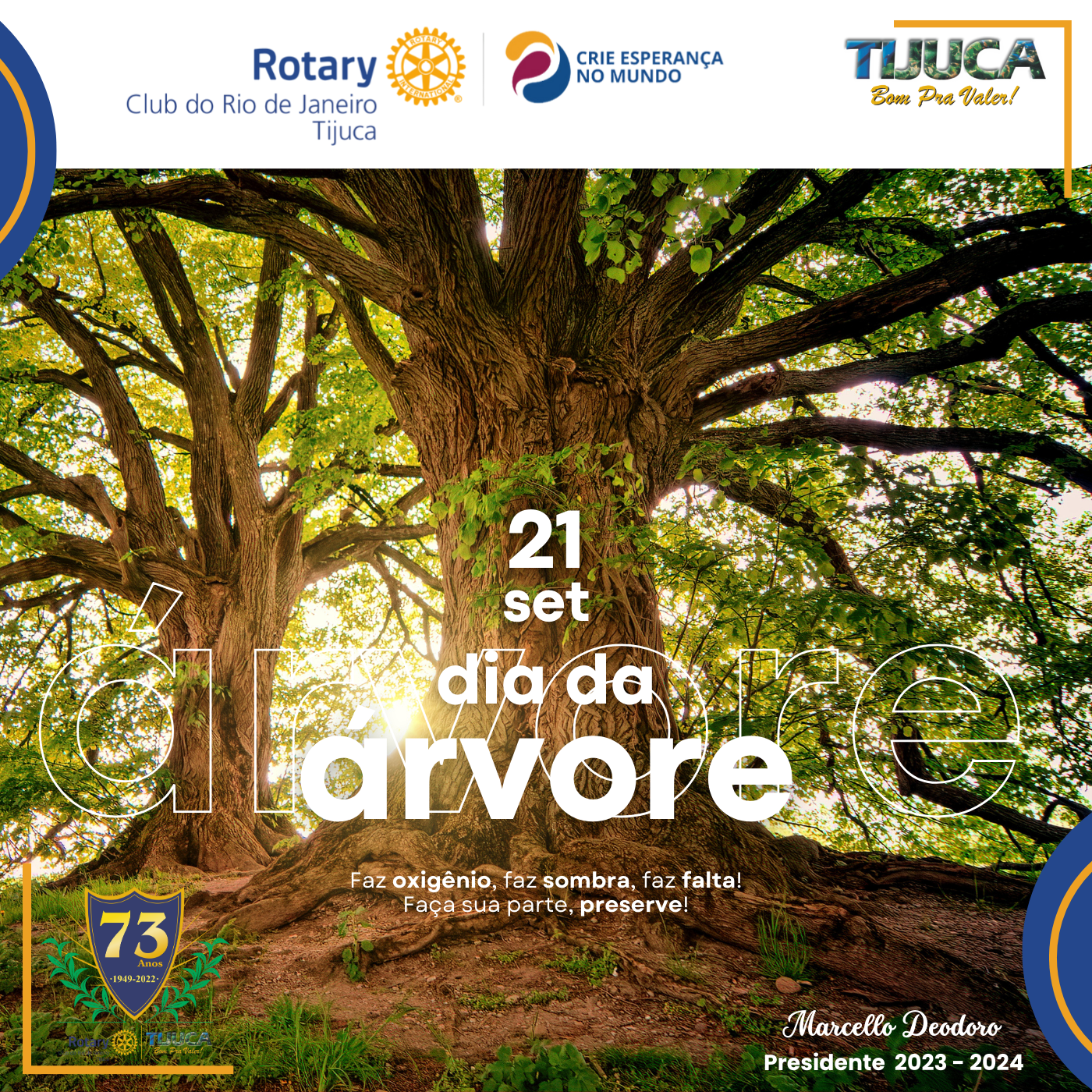 Por Siomara Castro Presidente da Comissão de Imagem Pública