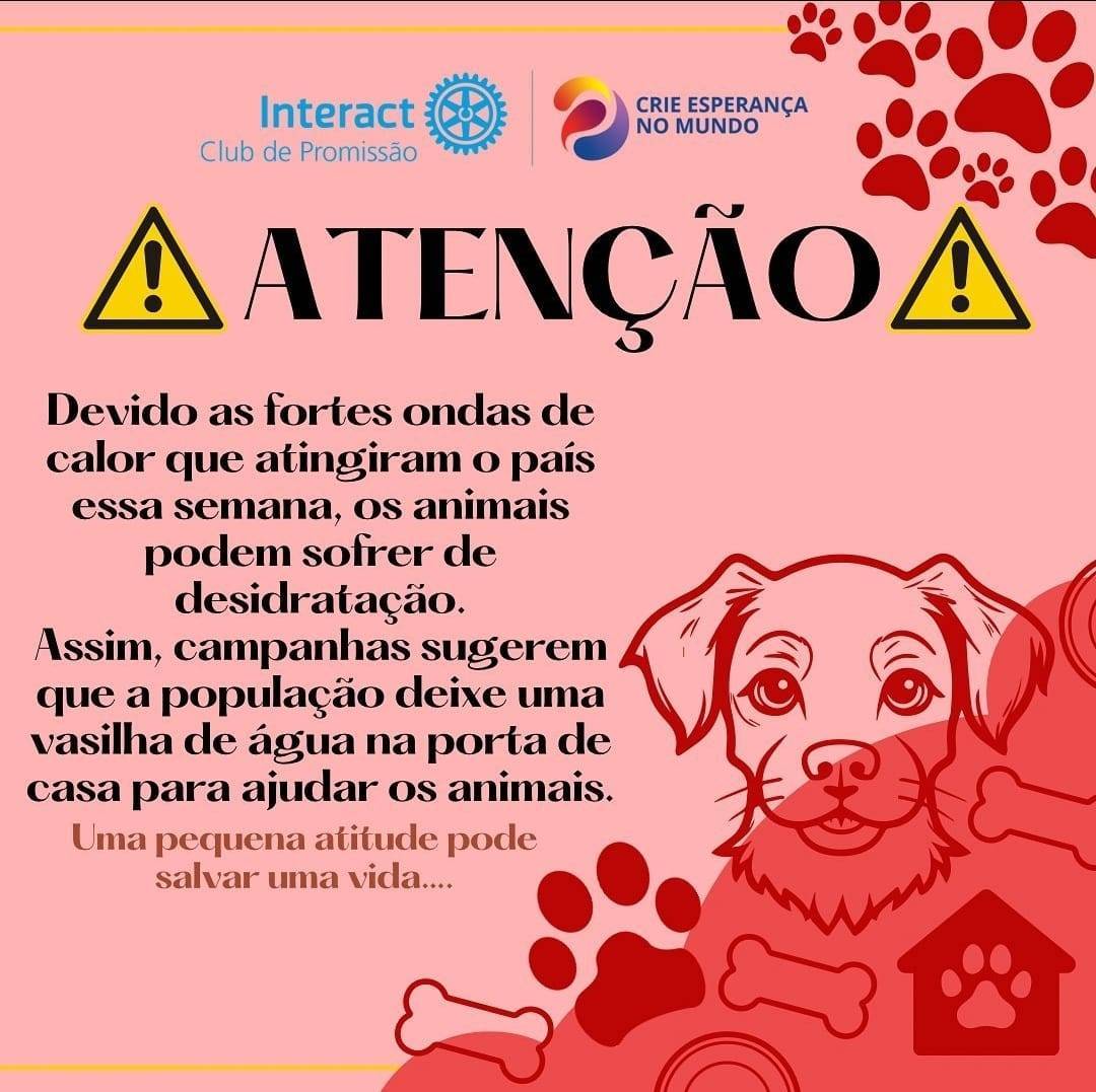 Campanha em prol dos animais - calor