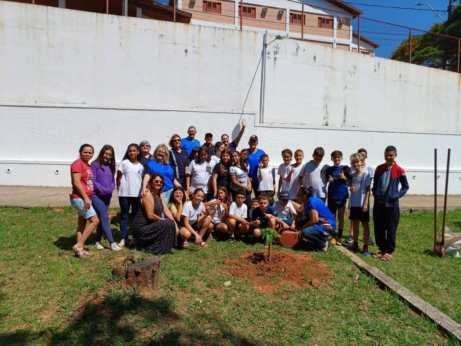 Plantio de Arvore - Ype Rosa