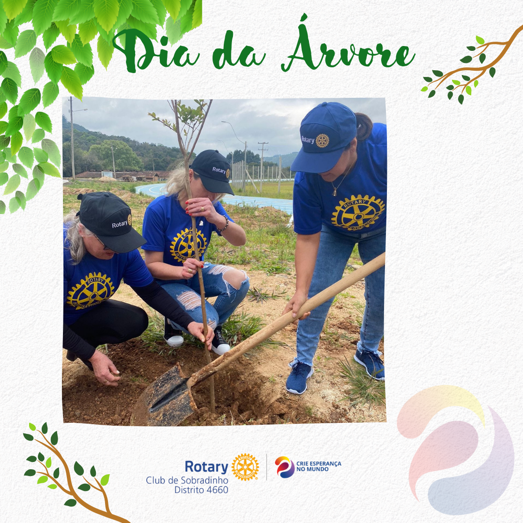 Hoje, dia 21 de Setembro comemora-se o dia da Árvore 