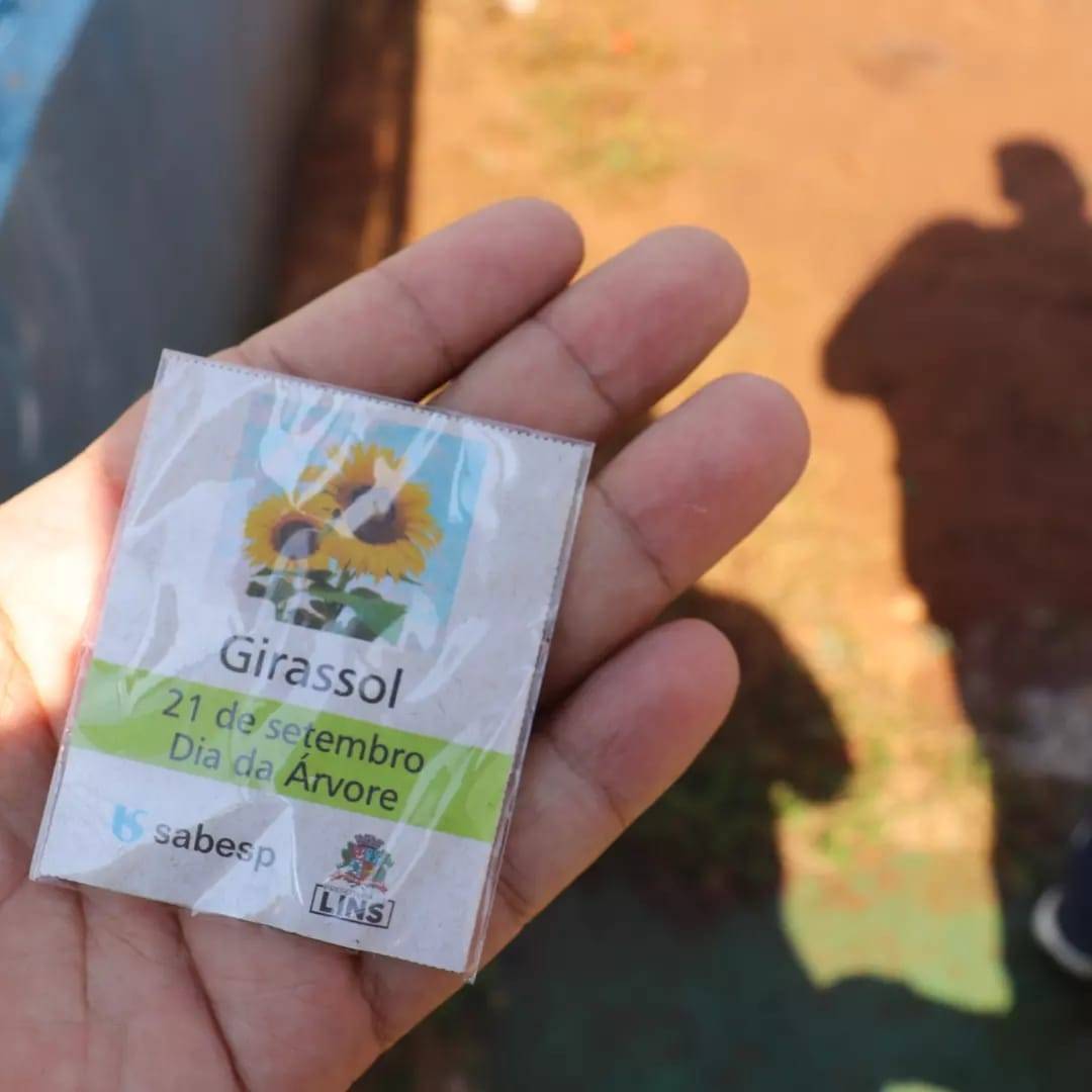 Rotary Club de Lins Norte realizou plantio de Girassóis no Dia da Árvore