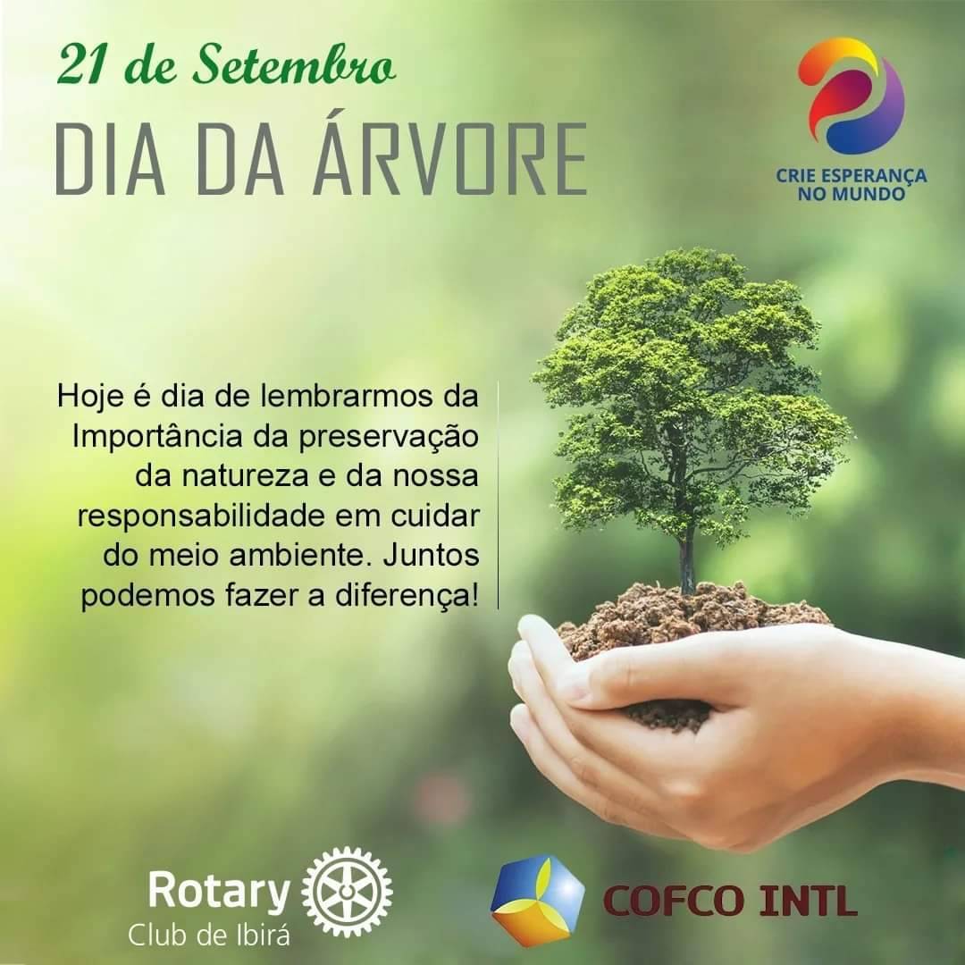 Plantio de 100 mudas pelo Rotary Club de Ibirá