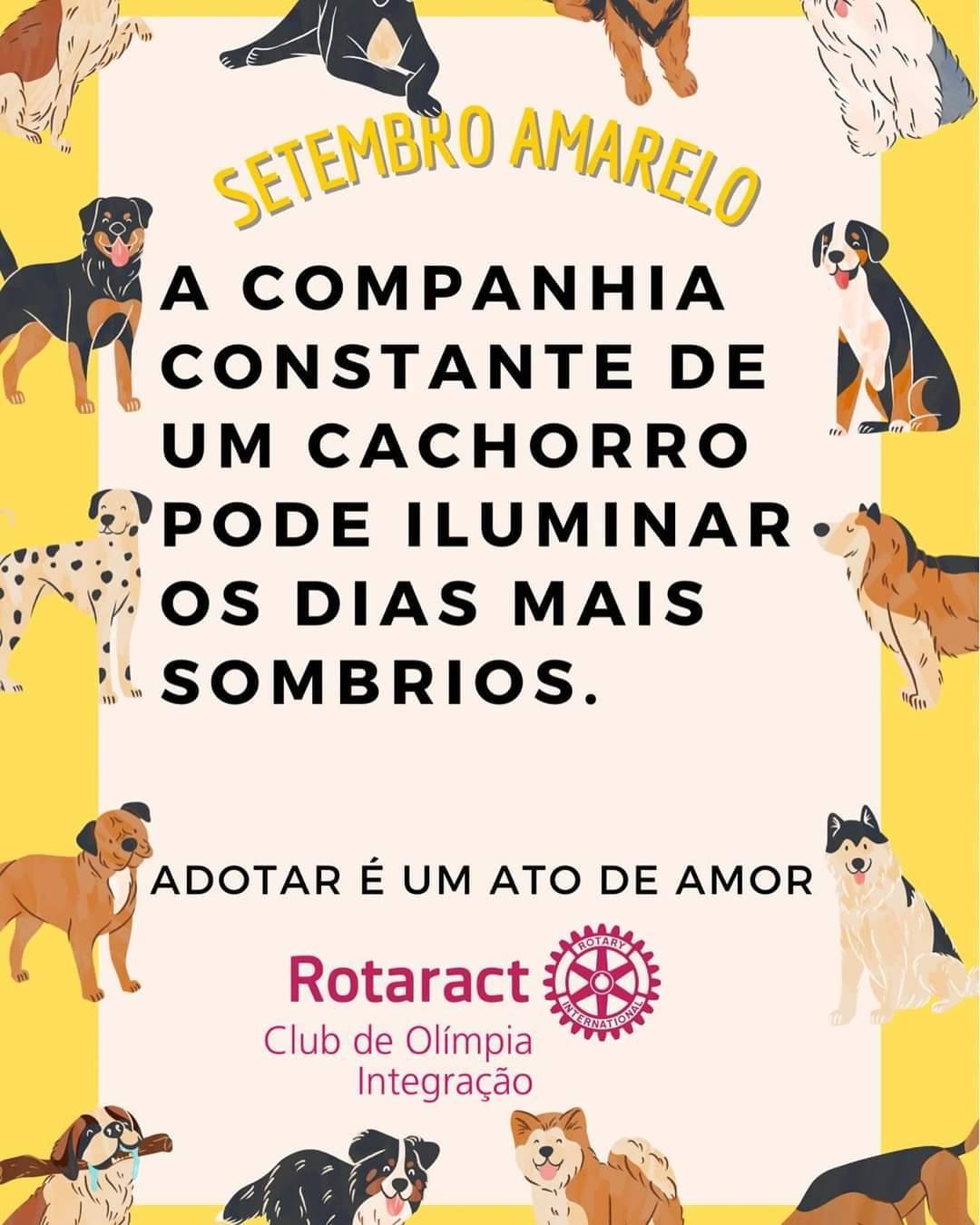 Ação na Praça da Matriz em Olímpia 