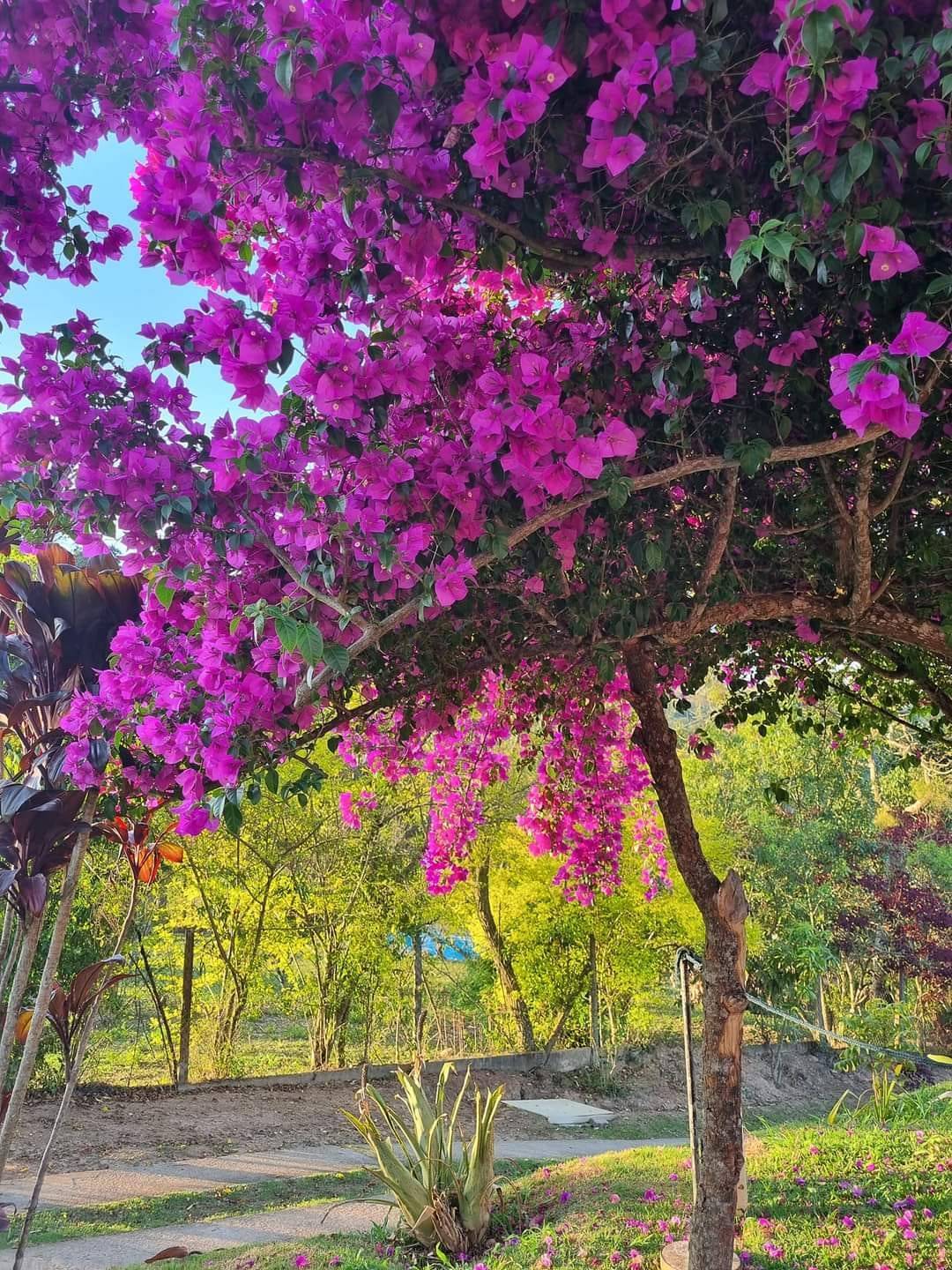 Valorização do Tempo Rotário