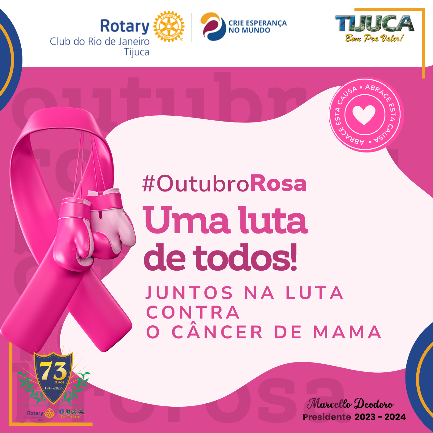 Por Siomara Castro Presidente da Comissão de Imagem Pública