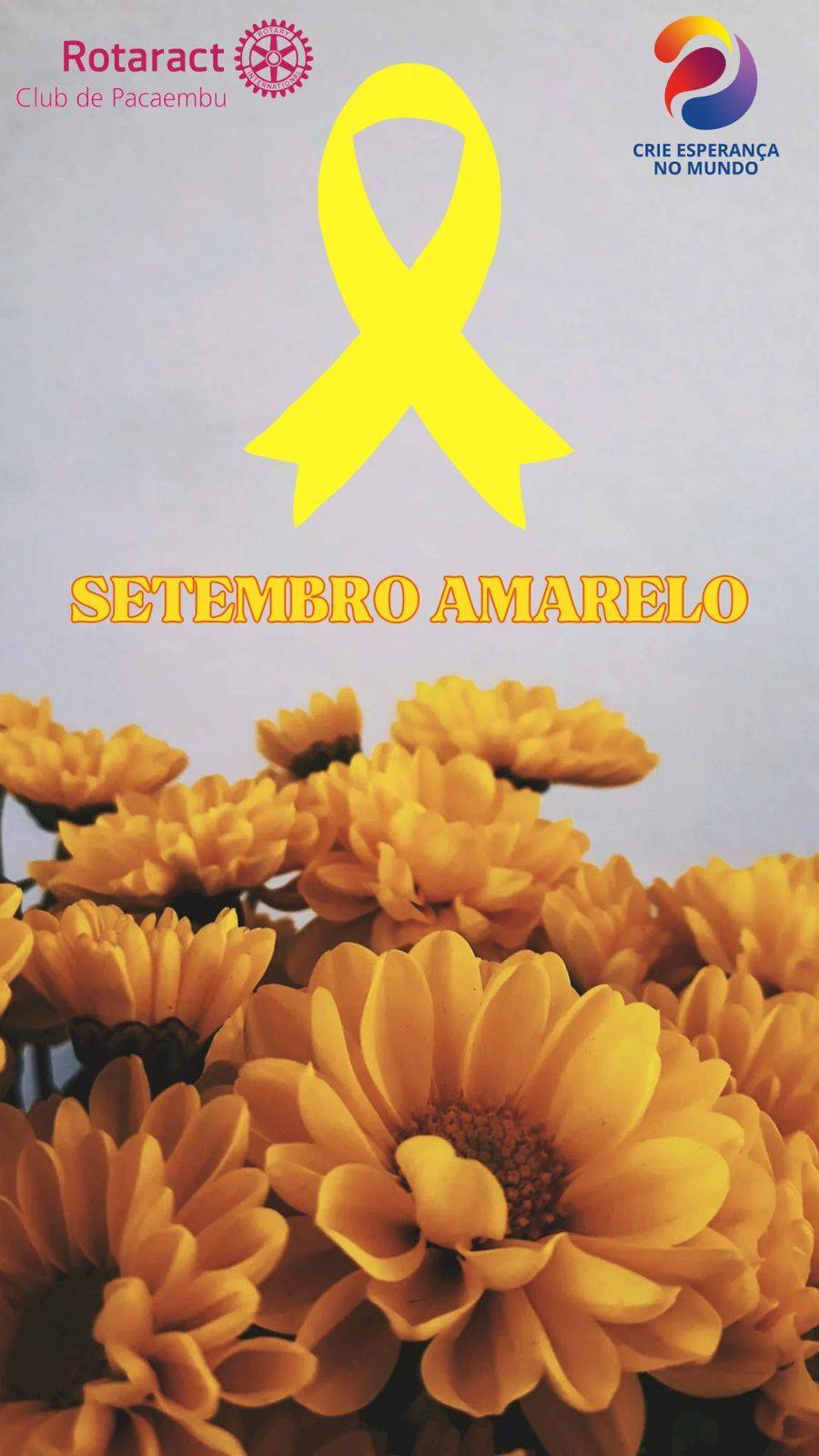 𝗤𝘂𝗲𝗺 𝗲́ 𝗮 𝗽𝗲𝘀𝘀𝗼𝗮 𝗺𝗮𝗶𝘀 𝗶𝗺𝗽𝗼𝗿𝘁𝗮𝗻𝘁𝗲 𝗽𝗮𝗿𝗮 𝘃𝗼𝗰𝗲̂ ❓